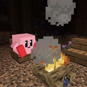 Meet your Posher, Celeste